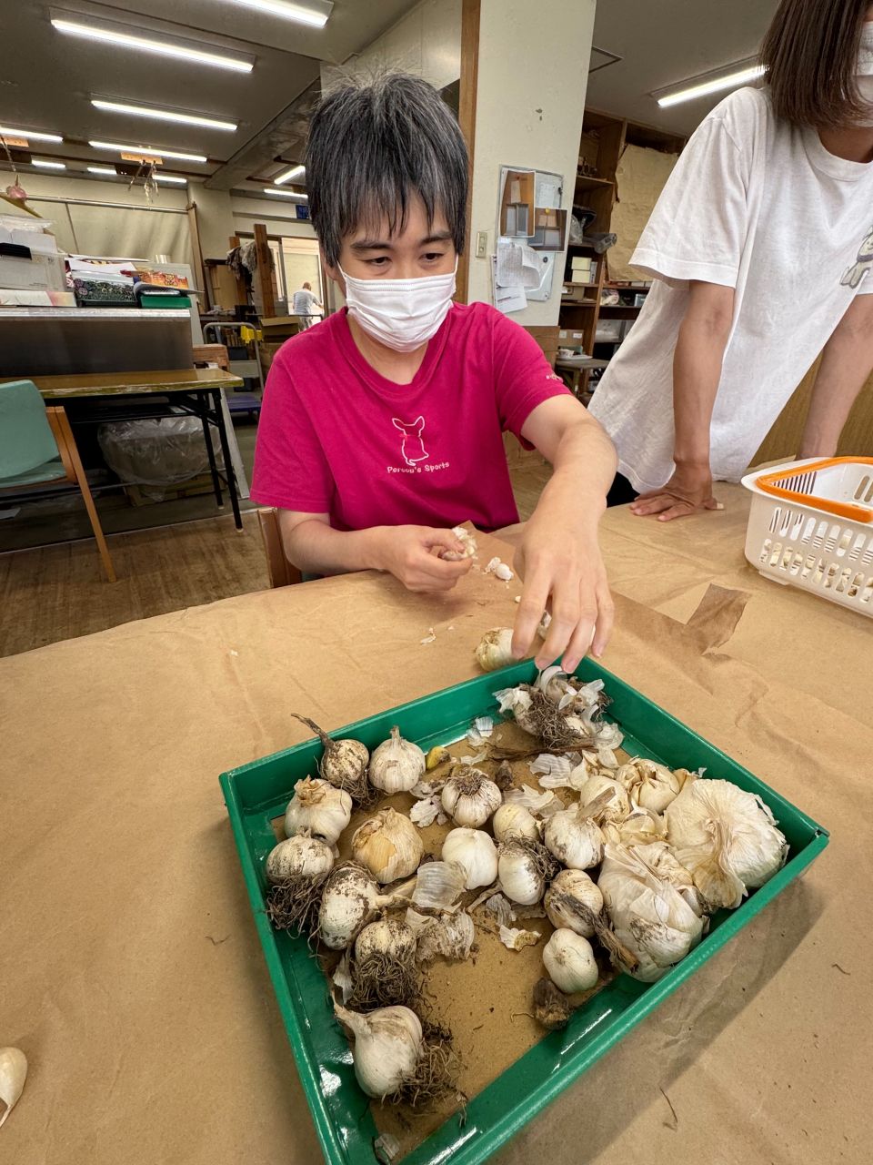 にんにくの販売に向けて