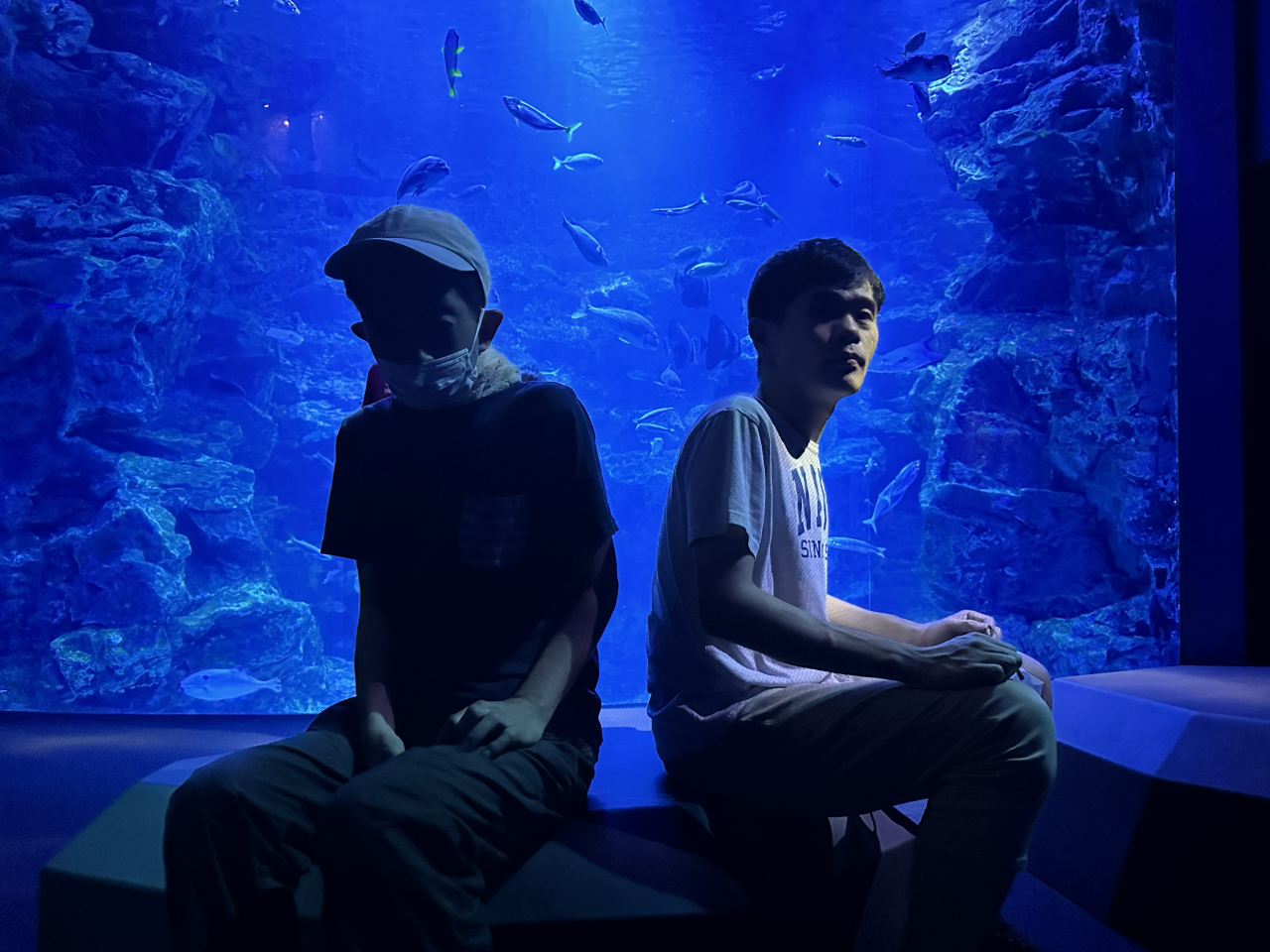 京都水族館